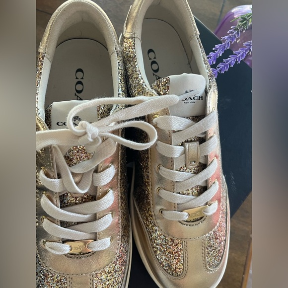 Brand New in Box Coach size 10 - Picture 1 of 7